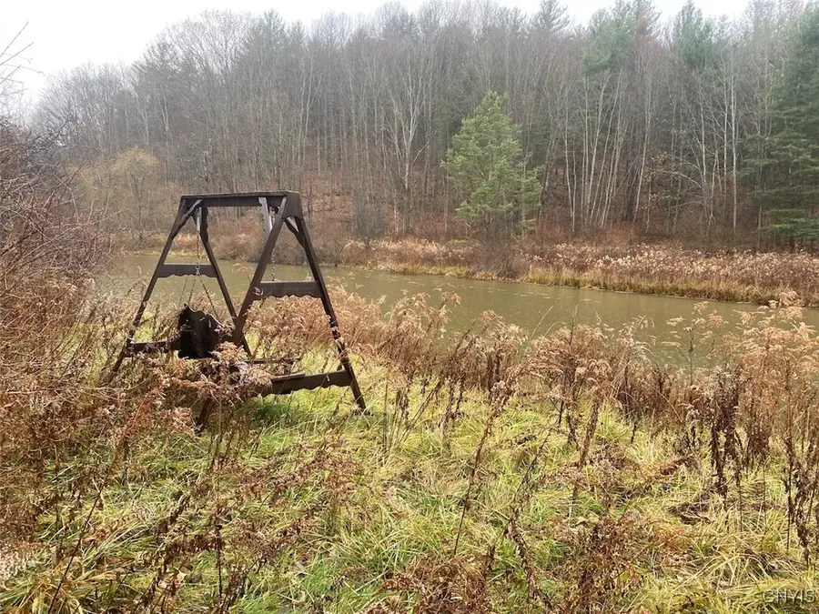 4236 Blouvet Road, Friendship, NY 14739 - Image #2