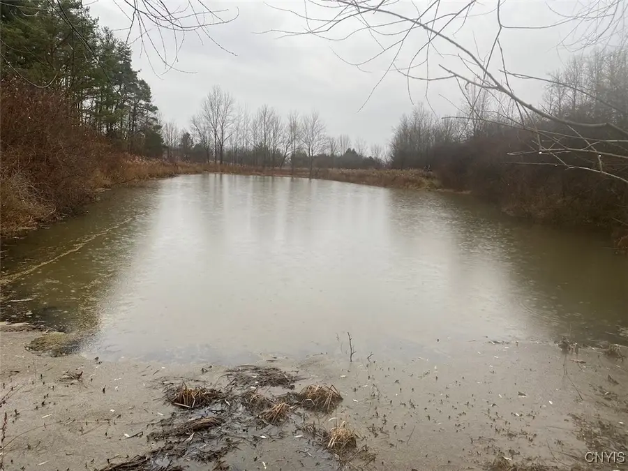 4236 Blouvet Road, Friendship, NY 14739 - Image #3