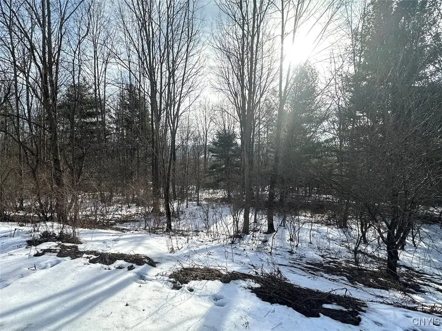 Pigtail Road, Friendship, NY 14739 - Image #3