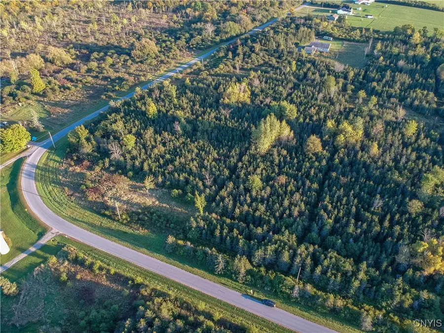 Tubolino Road, La Fargeville, NY 13656 - #2