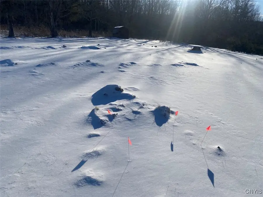 8708 Oramel Hill Road, Caneadea, NY 14717 - Image #2