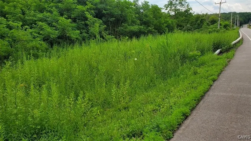 00 Herman Road, Camillus, NY 13031 - #1