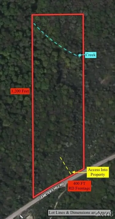 Cemetery Hill Road, Franklinville, NY 14737 - #2