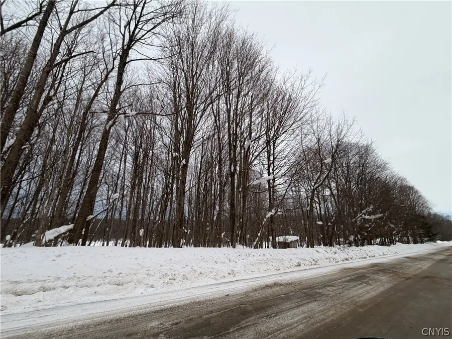 35601 Line School Road, Carthage, NY 13619 - #3