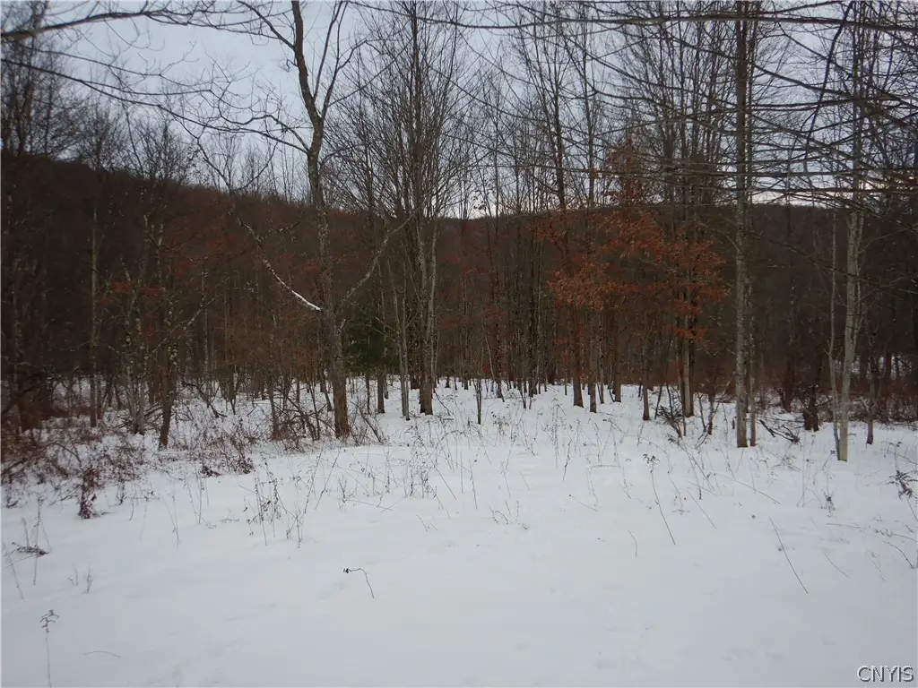 Newark Valley - Maine Rd, Newark Valley, NY 13811 - #1