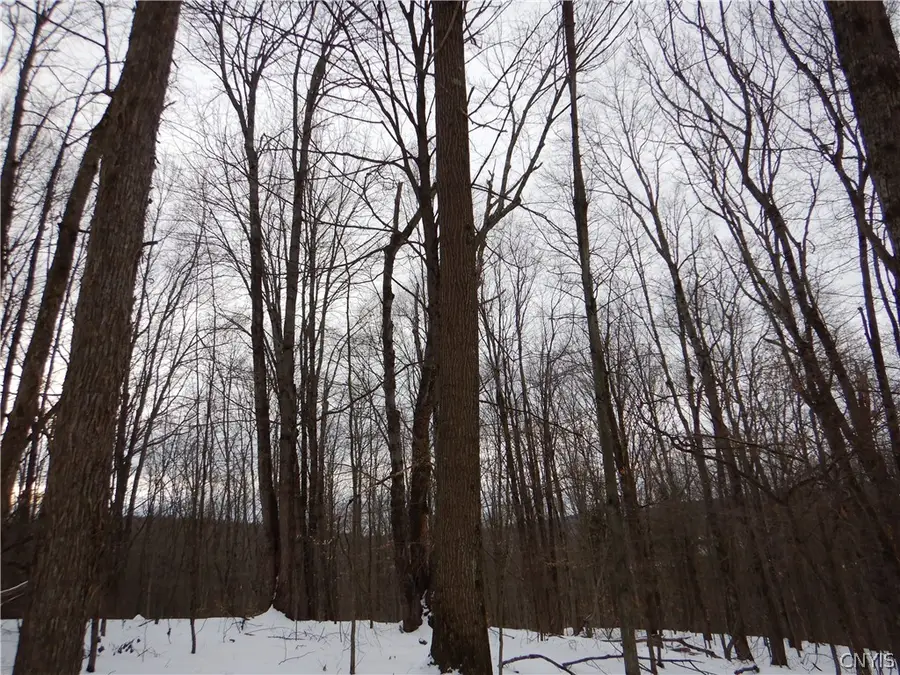 Newark Valley - Maine Rd, Newark Valley, NY 13811 - #2