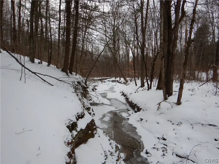 Newark Valley - Maine Rd, Newark Valley, NY 13811 - #3