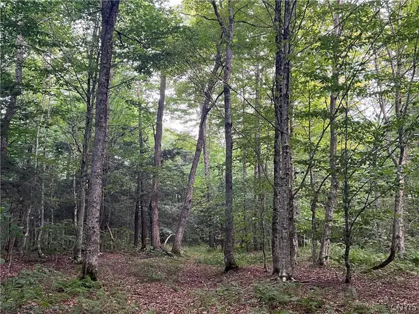 Creek Road #7, Taberg, NY 13471