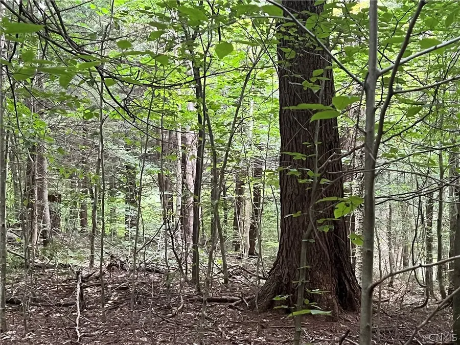 Creek Road #7, Taberg, NY 13471 - #3