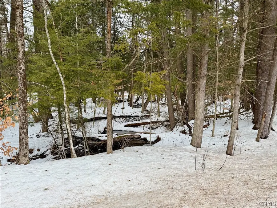 6919 Austin Road, Glenfield, NY 13343 - #3