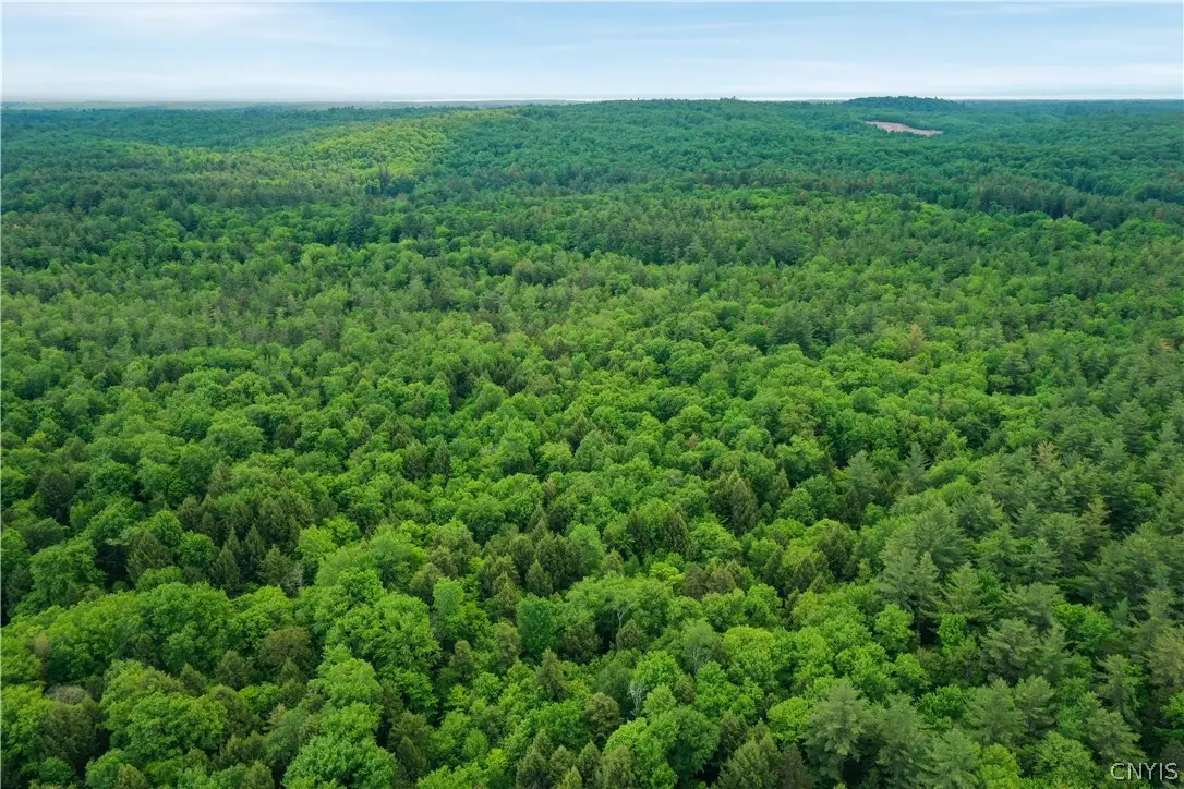 Elpis Road, Vienna, NY 13316 - #1