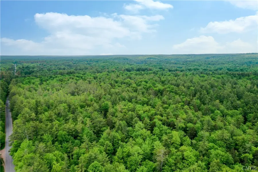 Elpis Road, Vienna, NY 13316 - #2