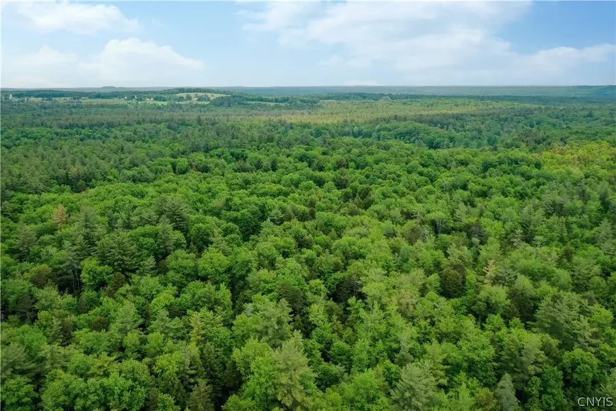 Elpis Road, Vienna, NY 13316 - #3