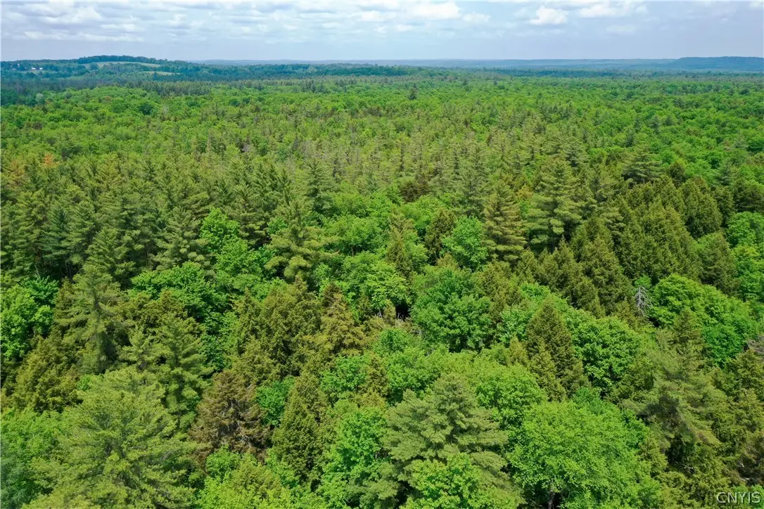 Elpis Road, Camden, NY 13316 - #1