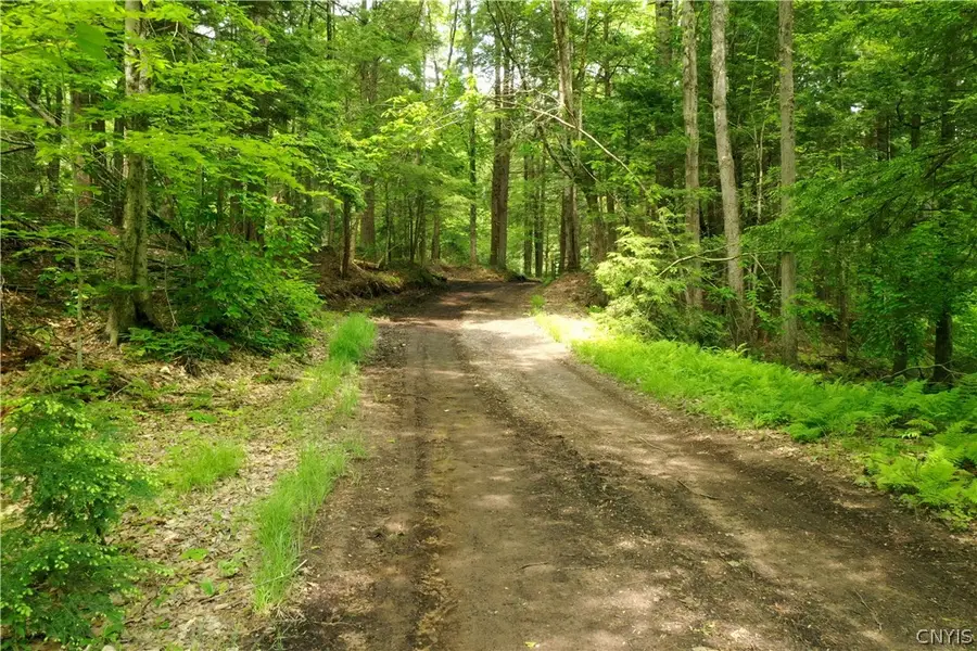 Elpis Road, Camden, NY 13316 - #2