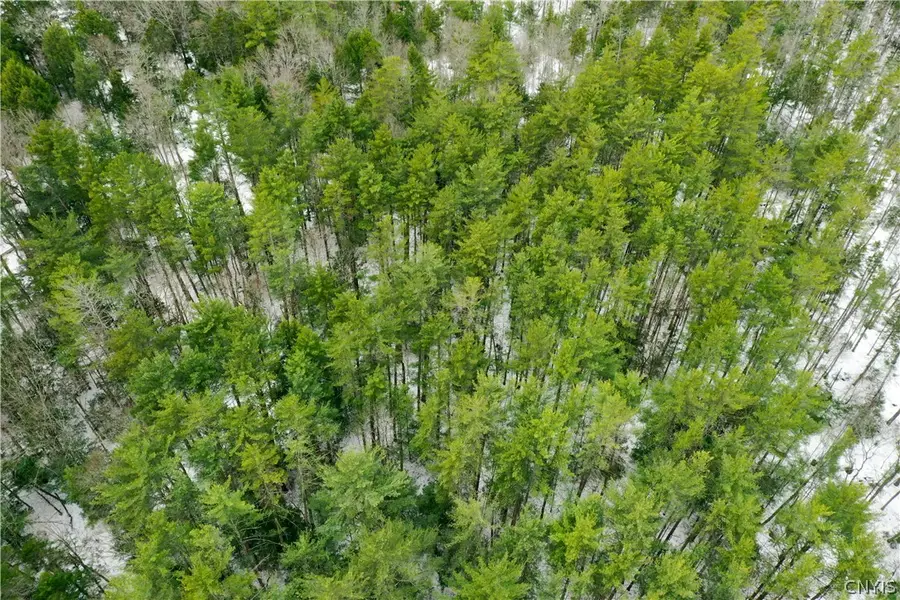 Elpis Road, Camden, NY 13316 - #3