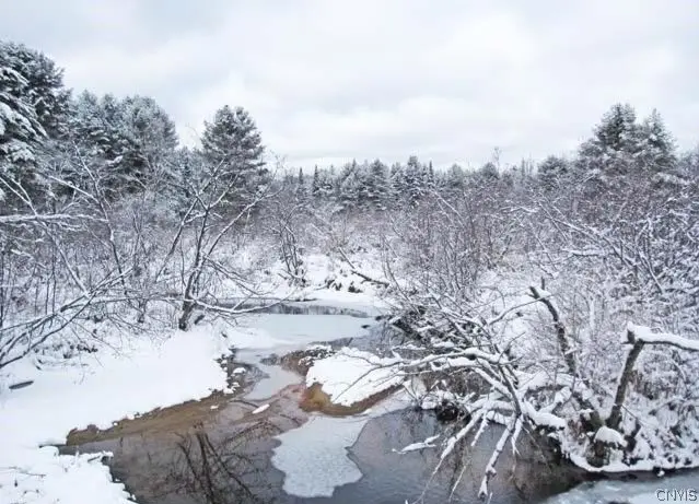 Red School Road, Salisbury Center, NY 13454 - #1