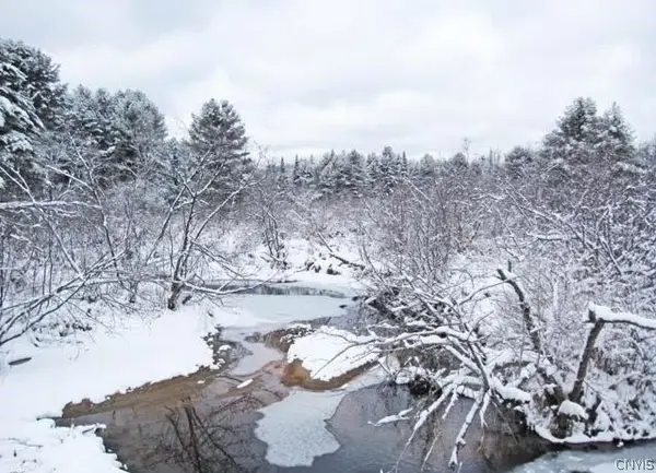 Red School Road, Salisbury Center, NY 13454