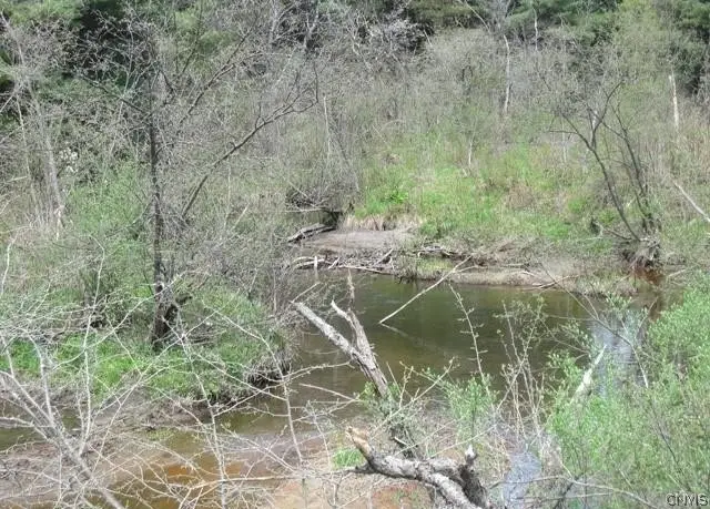 Red School Road, Salisbury Center, NY 13454 - #3