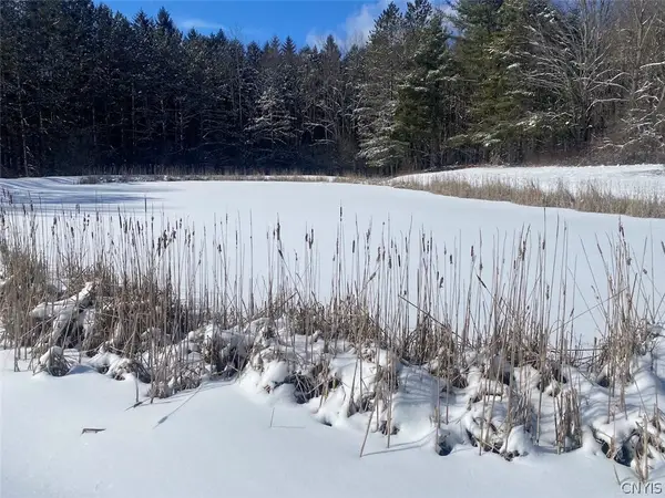 West Hill Road, Belfast, NY 14711