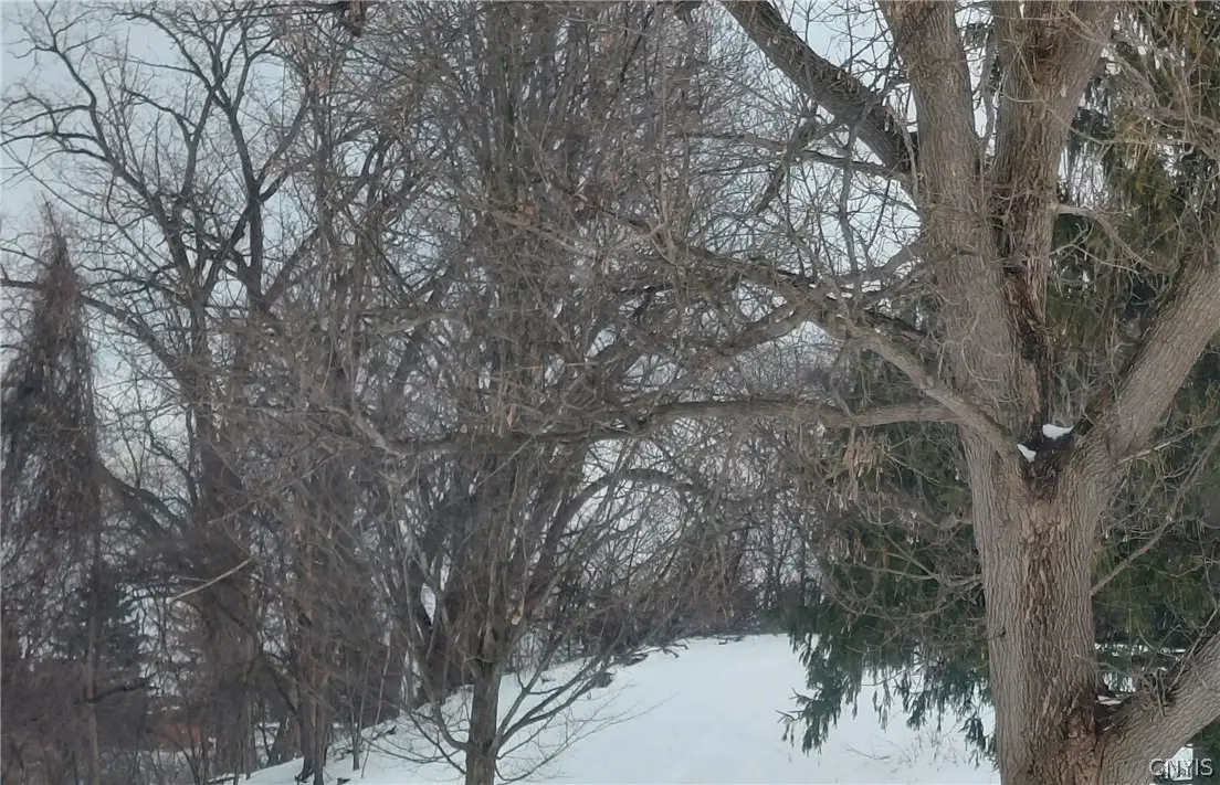 119 Argyle Avenue, Syracuse, NY 13219 - #1