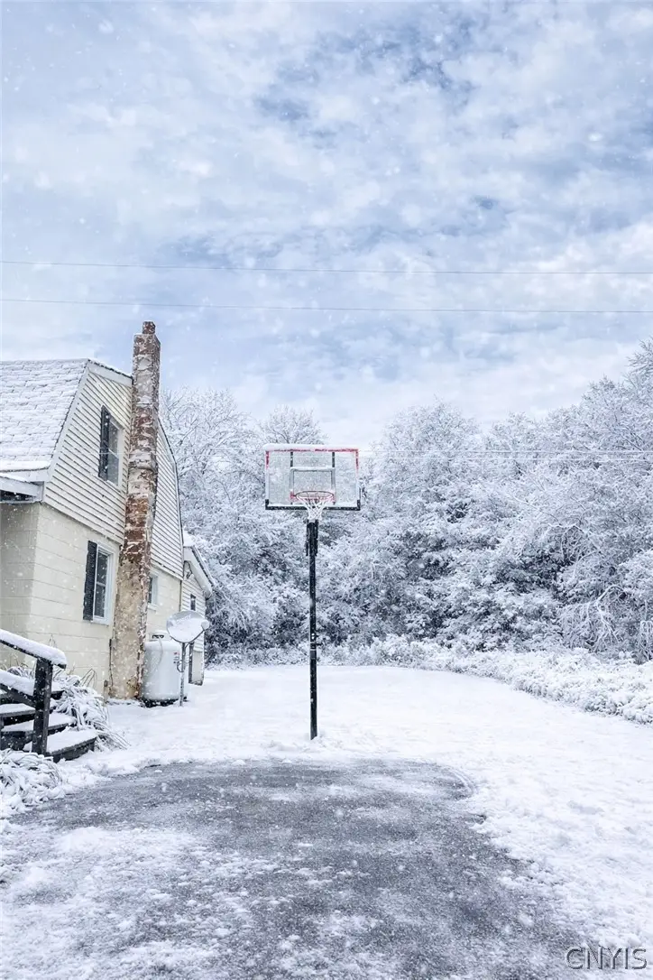 6698 Truxton Tully Road, Tully, NY 13159 - #3