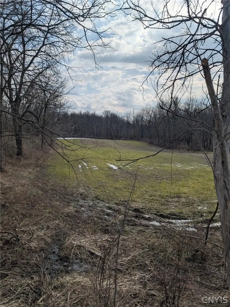 704 Bell Road, Victory, NY 13143 - #2