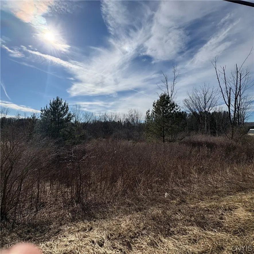 Route 11 N, La Fayette, NY 13084 - #3