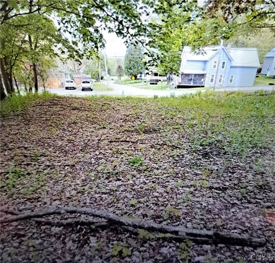 17 Voorhees Avenue, Camden, NY 13316 - #3