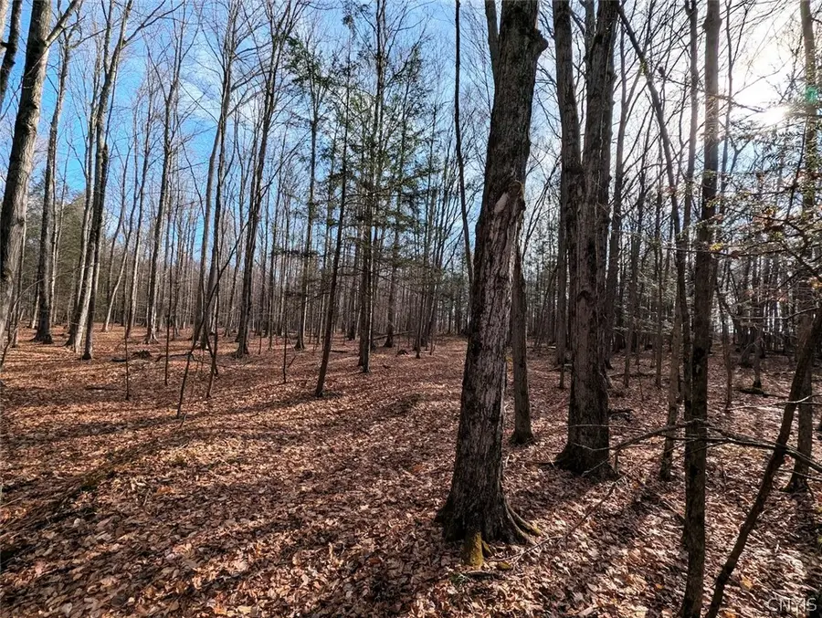 South Road, Addison, NY 14801 - #2