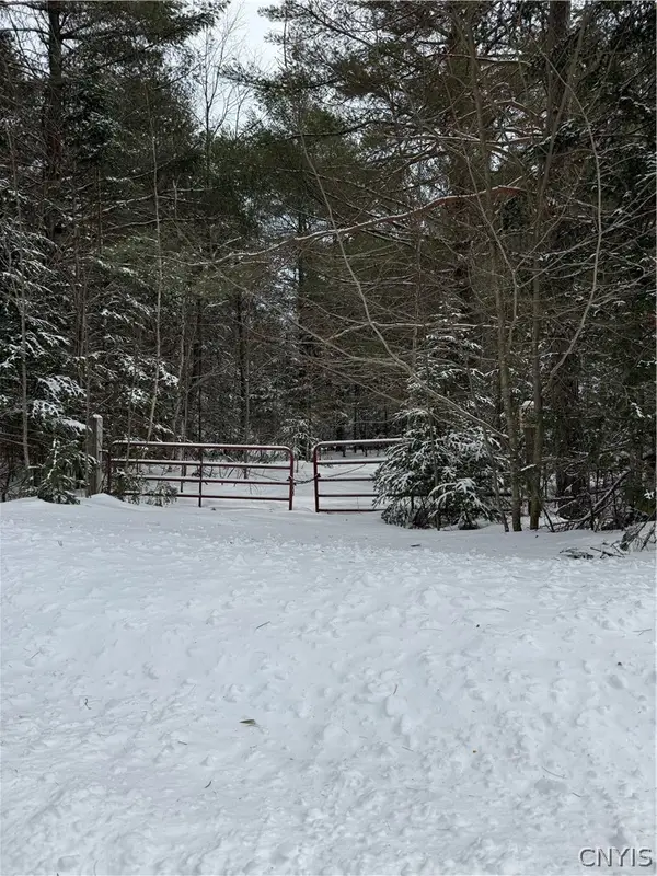 Lot #2 Roberts Road, Remsen, NY 13438