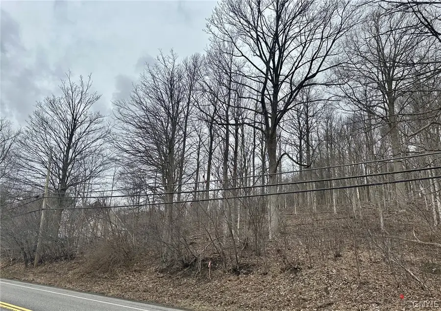 00 Warners Rd Lot #3, Camillus, NY 13209 - #2