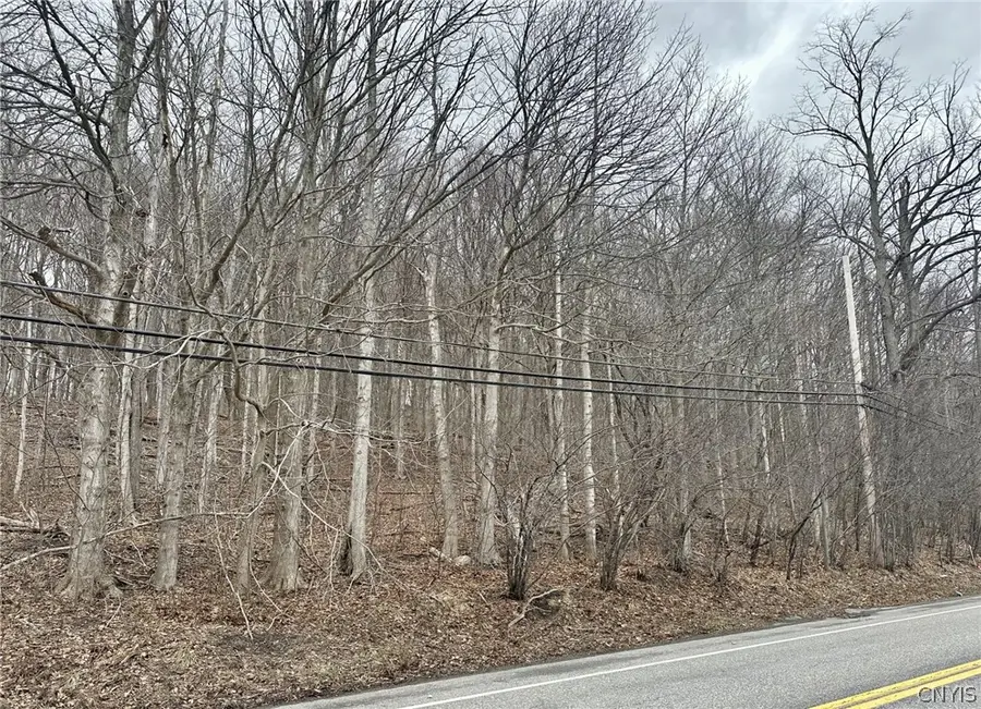 00 Warners Rd Lots 1-3, Camillus, NY 13031 - #3