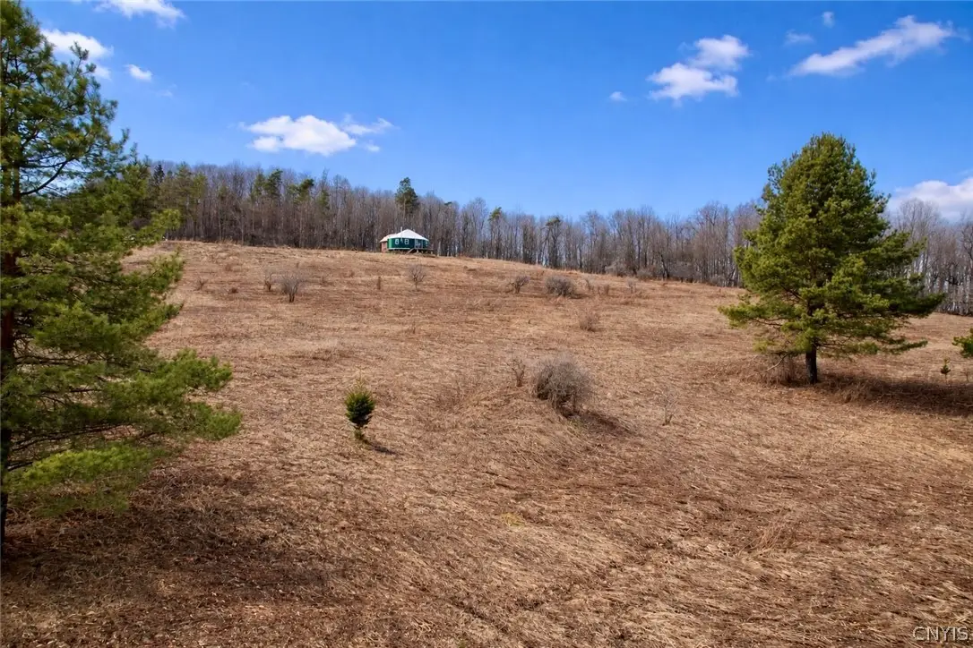 285 Sycamore Place, Lebanon, NY 13332 - #1