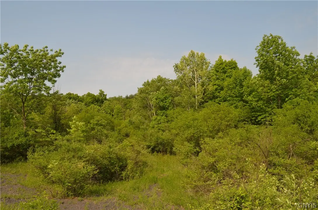 25 Barent Winne Road, Selkirk, NY 12158 - #1