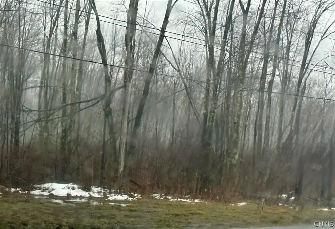 Route 13 N, Blossvale, NY 13308 - #1