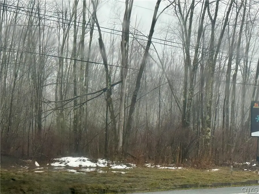 Route 13 N, Blossvale, NY 13308 - #3