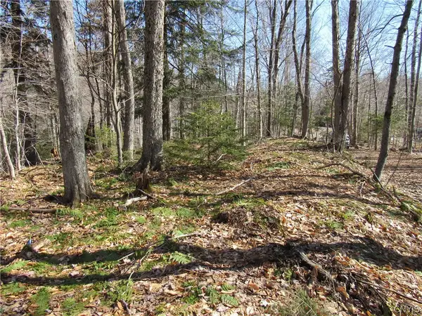 Address Withheld By Seller, Old Forge, NY 13420