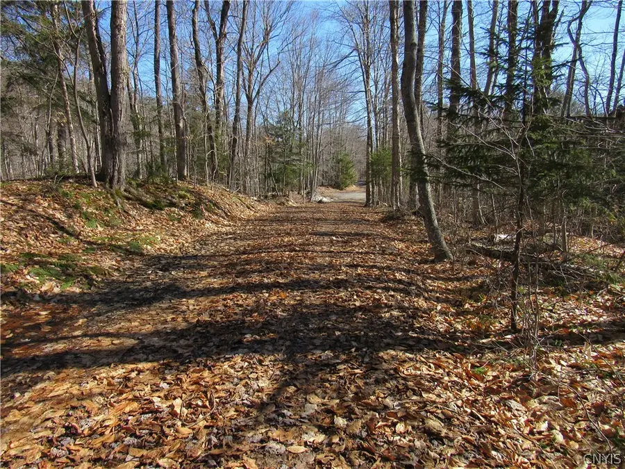 Address Withheld By Seller, Old Forge, NY 13420 - #2