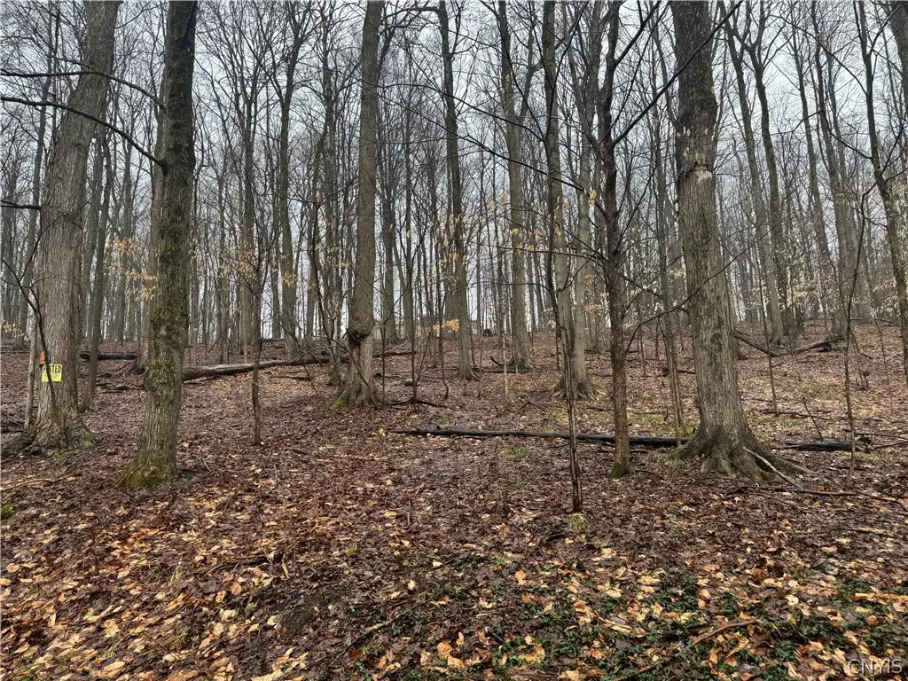 Nob Road, Utica, NY 13501 - #1