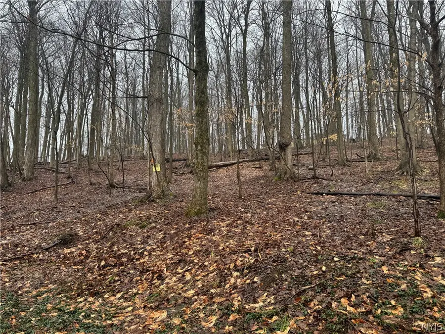 Nob Road, Utica, NY 13501 - #2