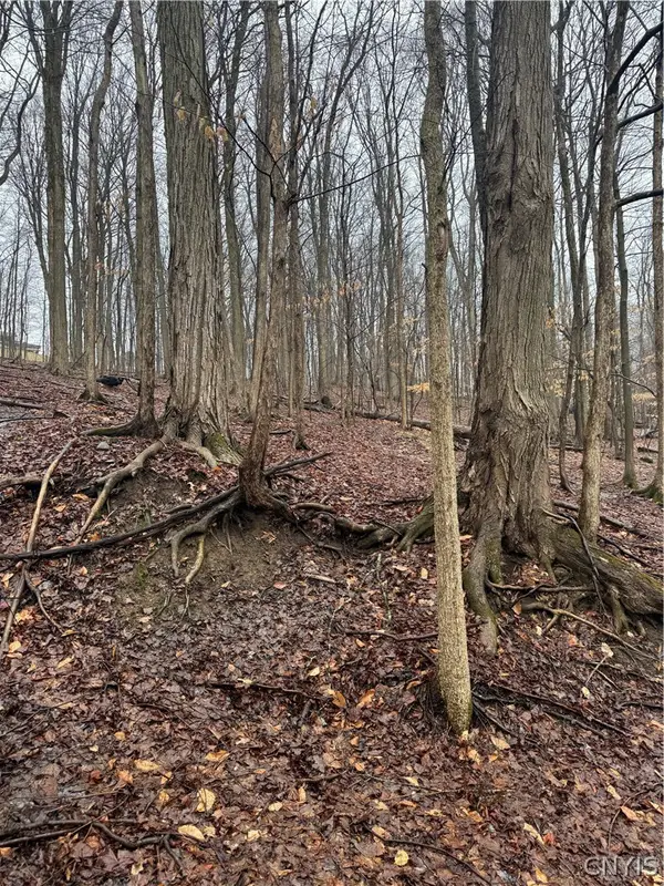 6 Nob Road, Utica, NY 13501