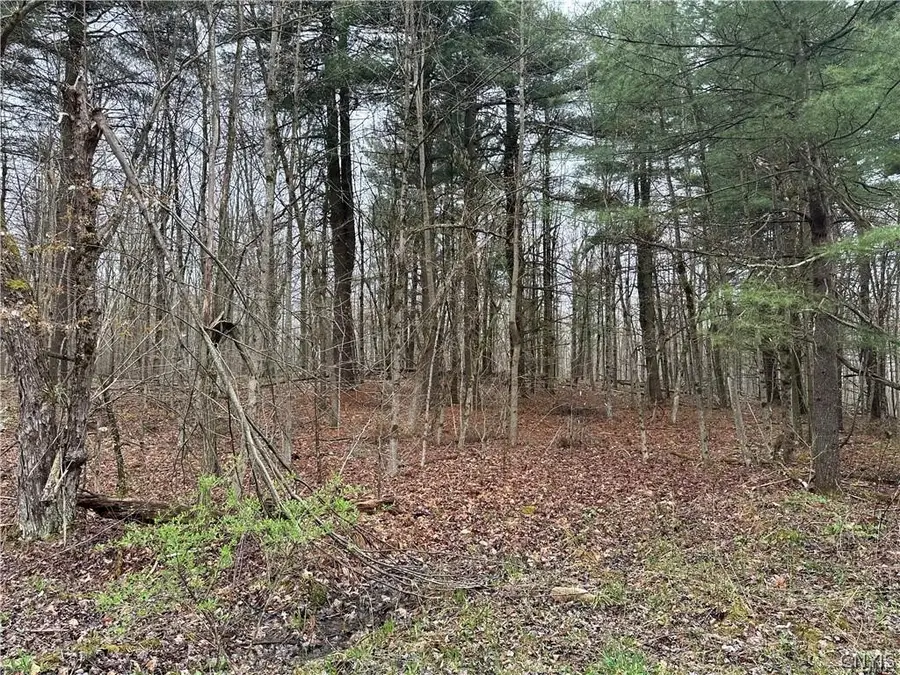 Donnerville Road, Russell, NY 13684 - #2