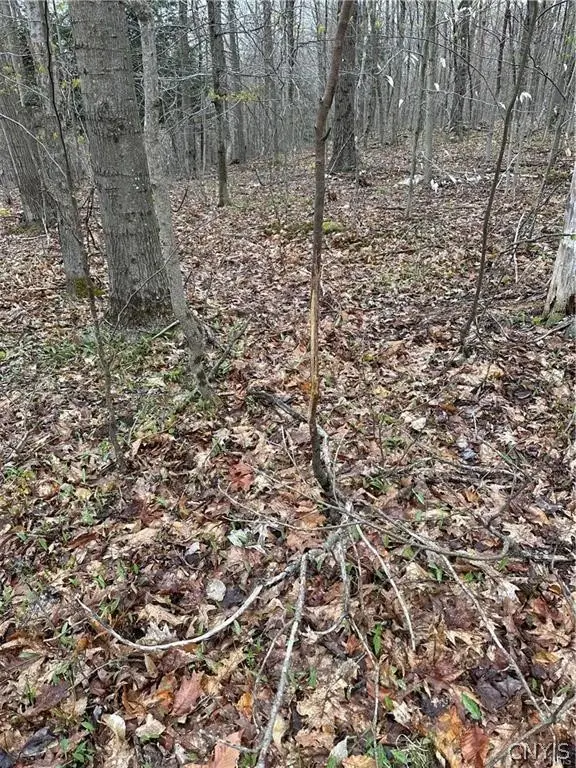 Donnerville Road, Russell, NY 13684 - #3