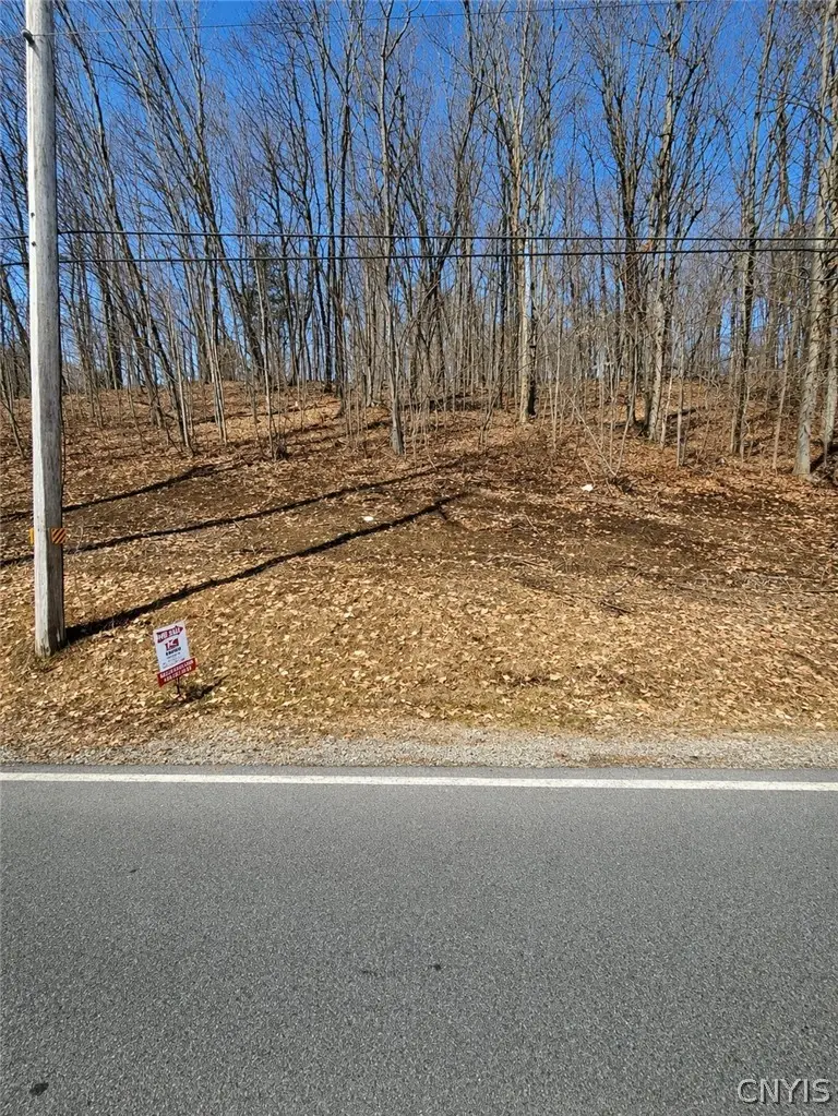 Rt-365, Remsen, NY 13438 - #1