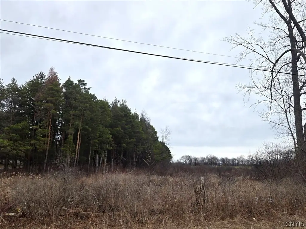 Hardys Road, Gainesville, NY 14066 - #1