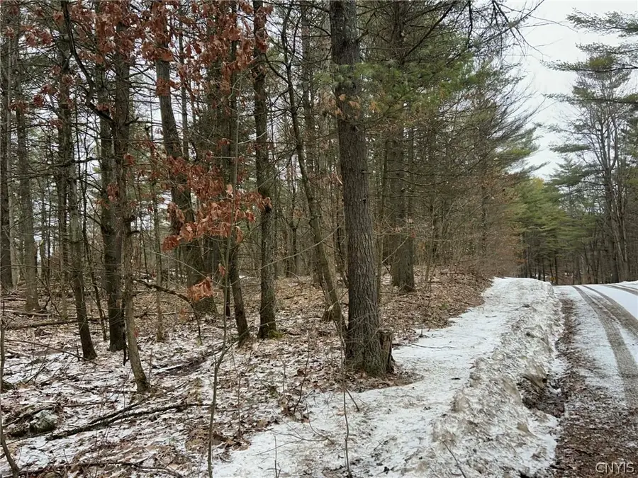 Whitaker Road, Hammond, NY 13646 - #3