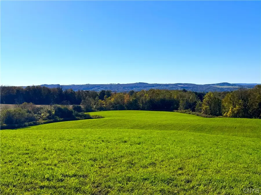 Graffenburg Road, Frankfort, NY 13340 - #2