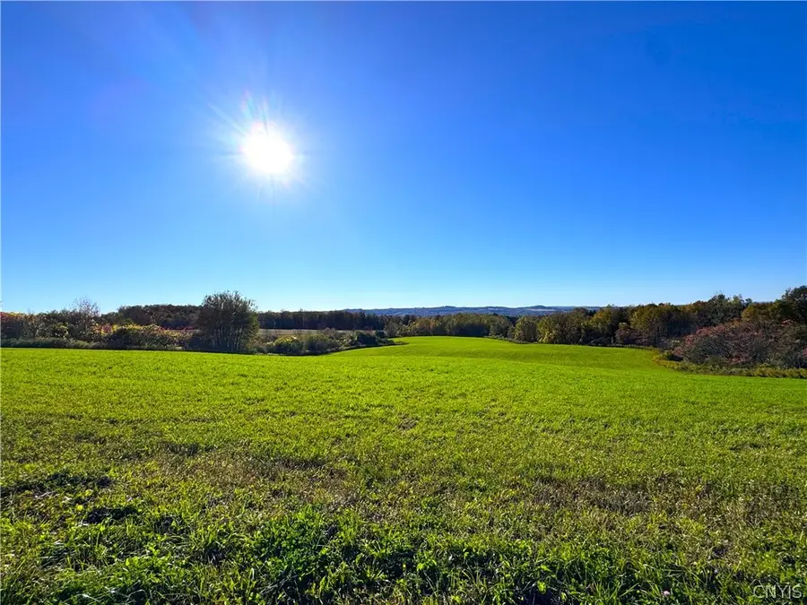 Graffenburg Road, Frankfort, NY 13340 - #3