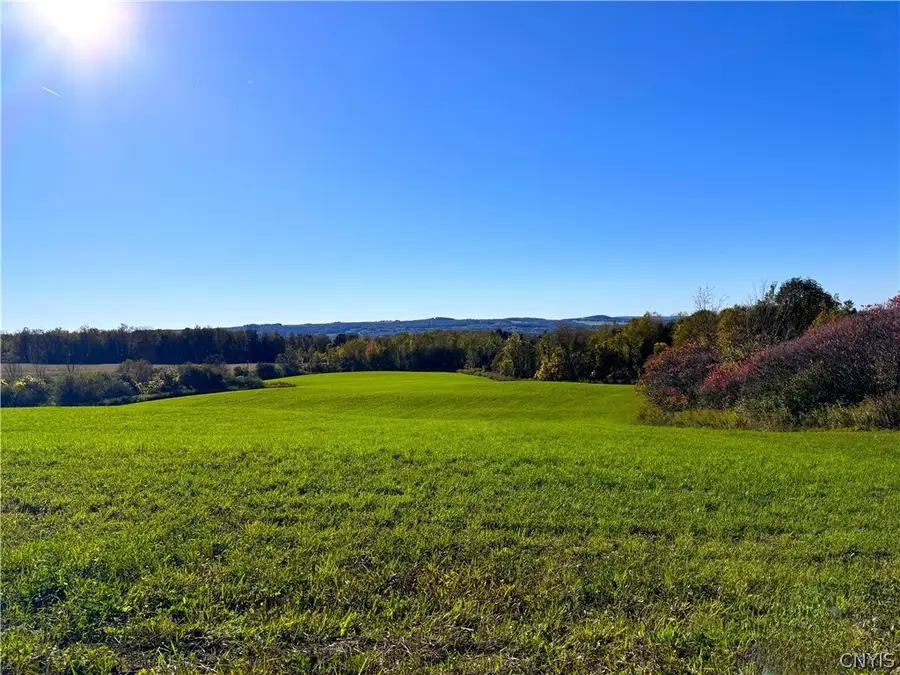 Graffenburg Road, Frankfort, NY 13340 - #2